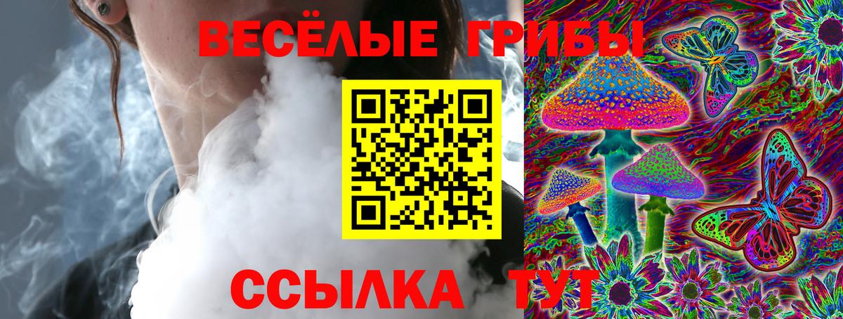 Галлюциногенные грибы прущие грибы  Галлюциногенные грибы GOLDEN TEACHER  где можно купить наркотик  Вход с VPN  Карачаевск 