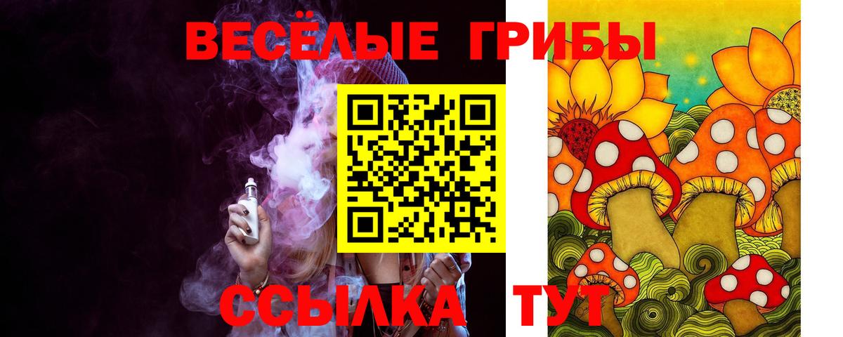 Галлюциногенные грибы GOLDEN TEACHER Карачаевск